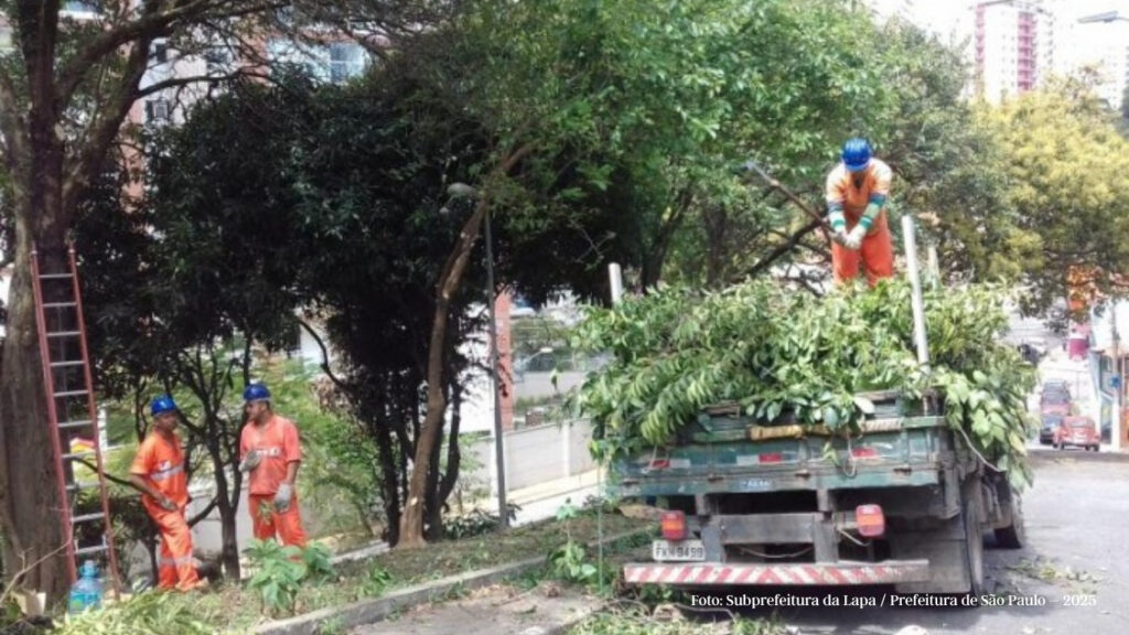 Lapa reforça equipes de poda e limpeza para evitar quedas de árvores e alagamentos na Zona Oeste