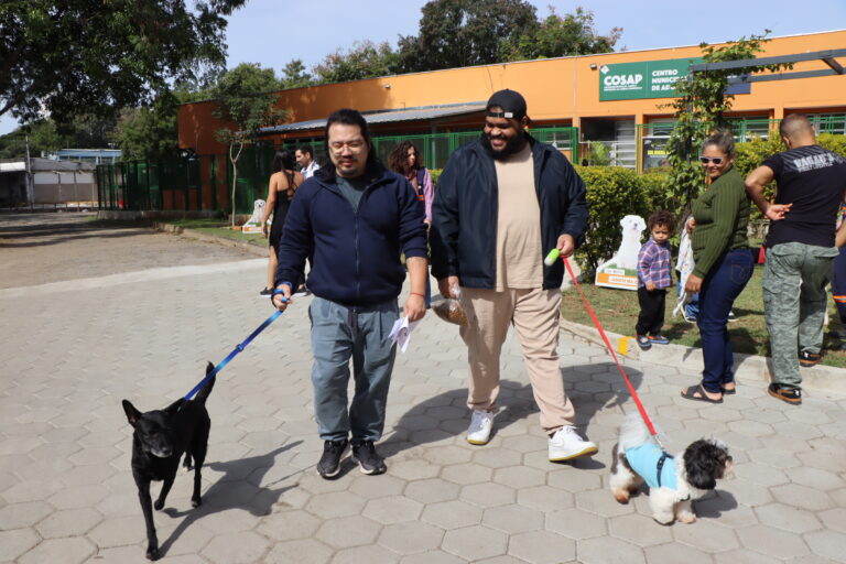 Prefeitura de São Paulo promove evento de adoção de cães e gatos na Zona Norte