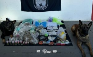 CÃES DO 5º BAEP LOCALIZAM MAIS DE 21 KG DE DROGAS DURANTE OPERAÇÃO NA ZONA LESTE DA CAPITAL
