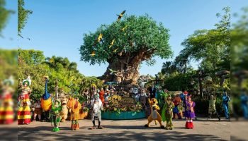 Pesquisa mostra que as longas filas são a maior frustração durante uma visita aos parques temáticos