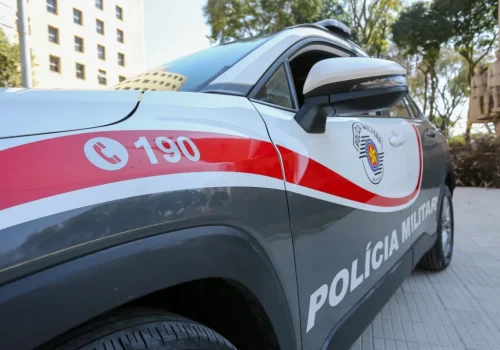 O caso foi registrado na Delegacia Seccional de Botucatu, que prossegue com as investigações. Foto: Governo de SP