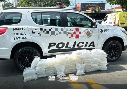 Copia-de-Design-sem-nome-92-1024x640.png