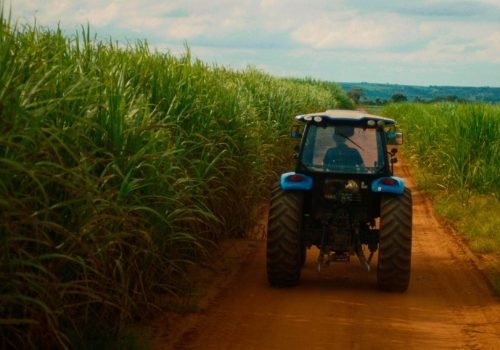 Desde 2023, o Fundo de Expansão do Agronegócio Paulista (FEAP) apoiou mais de 40 mil produtores, com R$ 1,2 bilhão em recursos. Foto: Divulgação/Governo de SP.