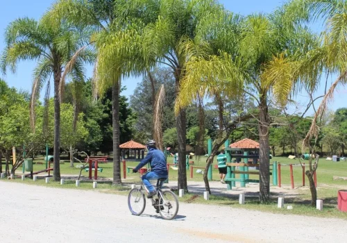 Operação El Niño: Governo de São Paulo adota protocolos preventivos para proteger visitantes de 12 parques urbanos em eventos climáticos extremos  
