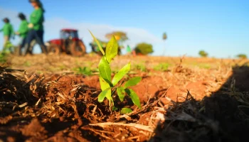 Semil divulga os premiados da 2ª edição do Prêmio SP Carbono Zero