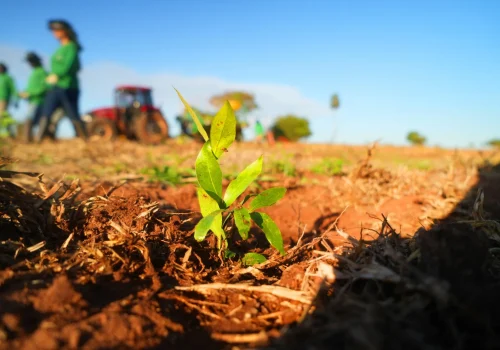 Semil divulga os premiados da 2ª edição do Prêmio SP Carbono Zero